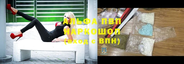 прущий лед Вяземский
