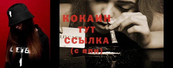 прущий лед Вяземский