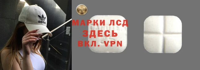 прущий лед Вяземский