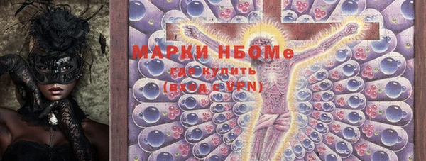 прущий лед Вяземский