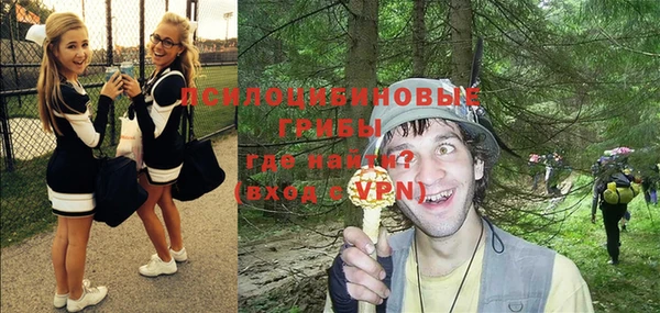 прущий лед Вяземский