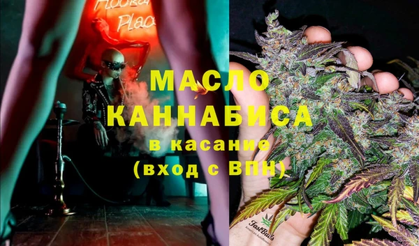 прущий лед Вяземский